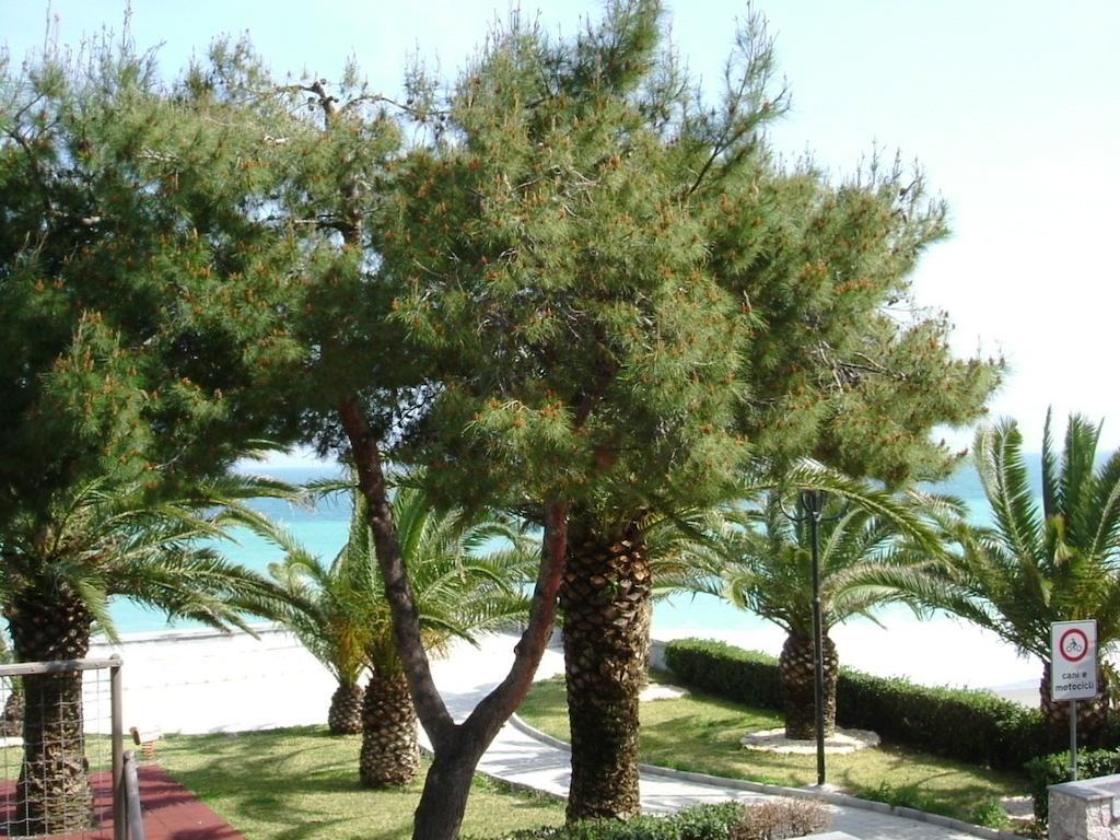 Taormina Beach House Mazzeo Room photo